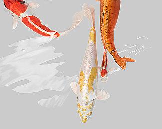 《狙击精英：抵抗》预载日期和预载容量大小公布